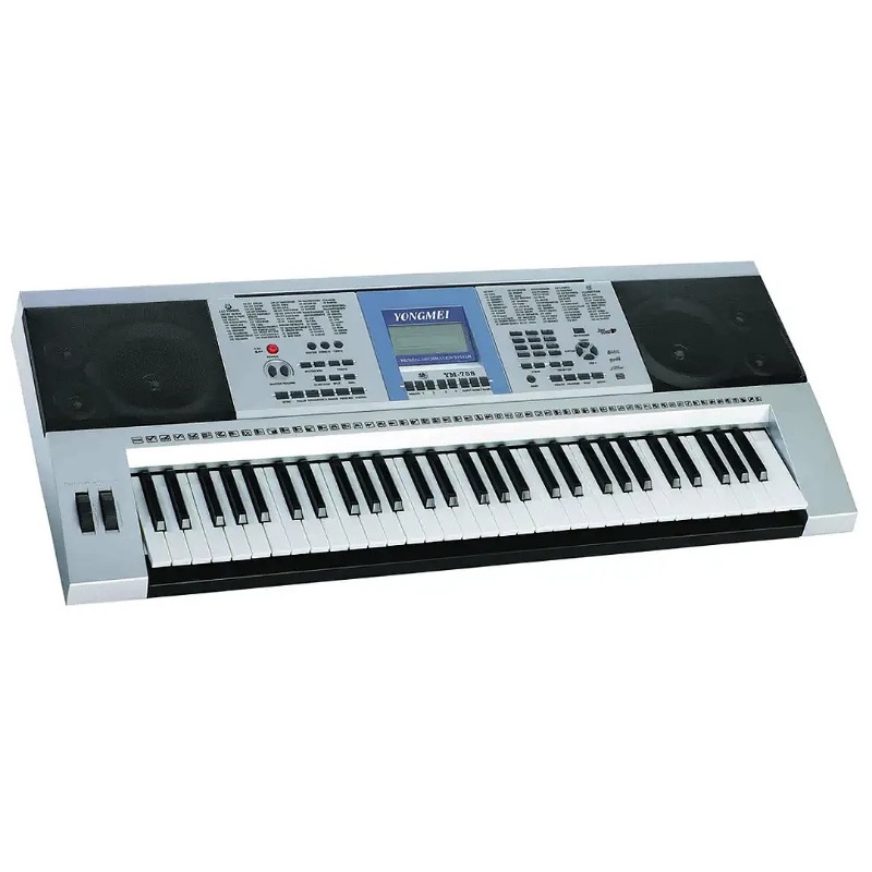 Tastiera musicale professional - Musical Instrument Morocco recensione e prezzo